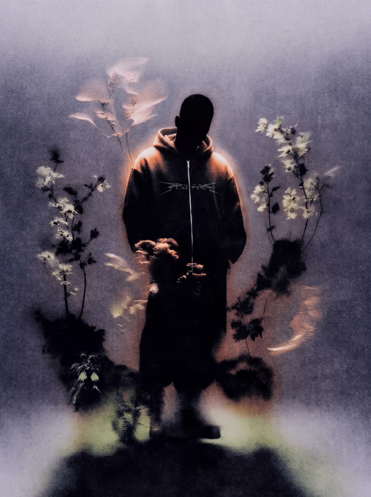 Bloom Silhouette